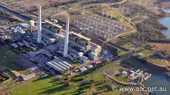 AGL Energy ditches coal demerger opposed by Mike Cannon-Brookes, chief executive resigns