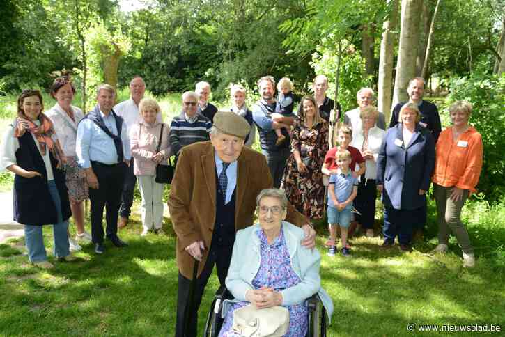 Eeuwelingen krijgen bomen op speelplein
