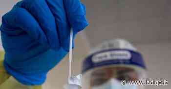 Covid in Trentino, positività al di sotto del 10 per cento, nessun decesso - l'Adige