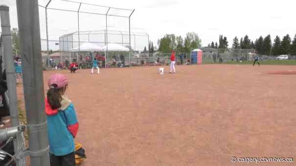 Growing the game: All-girl clinic introduces baseball to new players