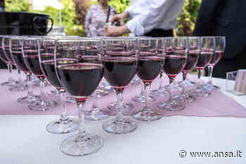 Un weekend a Chieri per il Freisa 'vino dell'anno' - Agenzia ANSA