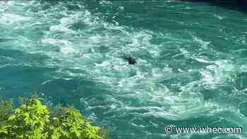 14-year-old dies after falling over gorge in Niagara Falls