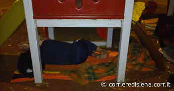 Siena, San Marco: così il parco è diventato un accampamento - Corriere di Siena