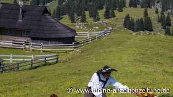 Ein Sommer auf Sloweniens Hochalm