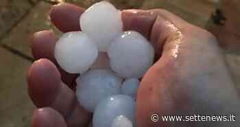 Violenta grandinata nella Bergamasca: chicchi grandi come noci - Settenews