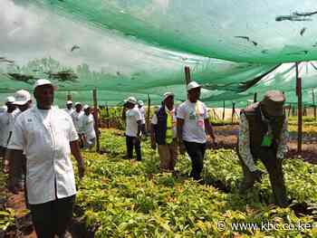 Kenyans tasked to elect leaders with high level of integrity and visionary - Kenya Broadcasting Corporation