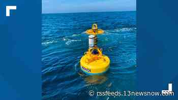 Robotic buoys developed to keep Atlantic right whales safe