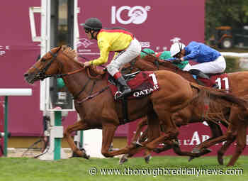 Arc Hero Torquator Tasso Returns At Baden-Baden - Thoroughbred Daily News