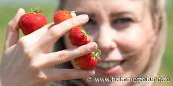 5 Gründe, warum Sie jetzt täglich Erdbeeren essen sollten - Halterner Zeitung