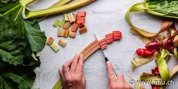 Warum man Rhabarber nicht täglich essen sollte - Nau.ch