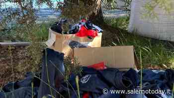 Furto presso lo stadio Guariglia di Agropoli: "Oltre il danno economico, quello morale" - SalernoToday