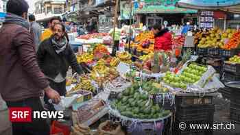 Hungersnot durch Krieg - «Viele Menschen in Nahost können sich kein Essen mehr leisten» - Schweizer Radio und Fernsehen (SRF)