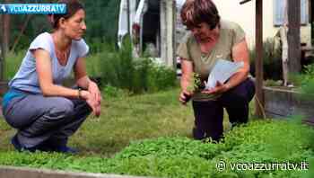 Il Gal Racconta: il Consorzio Erba Bona - Azzurra TV