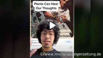 „Pflanzen können uns hören“: TikToker geht mit absurdem Video viral