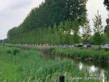 CDA-raadslid Coos Brouwer: “Stel de stoplichten in De Hoef beter af!” - Nieuwe Meerbode