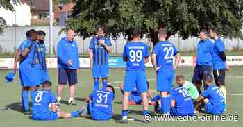 FC Sportfreunde Heppenheim hat jetzt Planungssicherheit - Echo Online