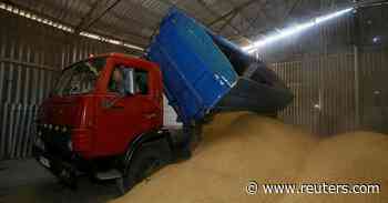 UK in discussions over how to get grain out of Ukraine, transport minister says - Reuters