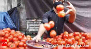30% drop in prices of tomato in Nashik retail market - Times of India