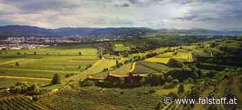 Quer durch Österreich bei LIDL