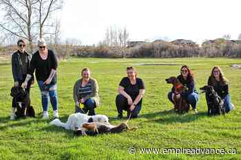 Fundraising restarts for dog park - Virden Empire Advance