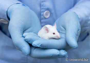 Animal Testing - Still A Common Practice For Medical Research - CEOWORLD magazine - CEOWORLD magazine