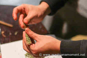Louisiana Senate Must Pass Medical Marijuana Worker Protections Bill (Op-Ed) - Marijuana Moment