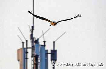 Schmalkalden: Vodafone baut 5 G-Netz im Kreis aus - inSüdthüringen - inSüdthüringen