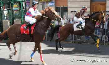 Ritorna il Palio dell’Ascensione a Floridia, l’ira degli animalisti, “rischi per i cavall... - BlogSicilia.it