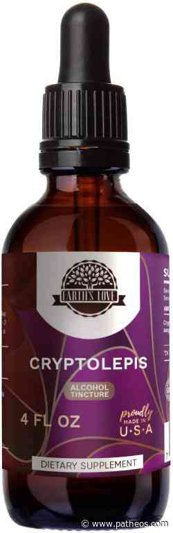 Conquer Lyme Disease Naturally (I Did!) | Dave Armstrong - Patheos