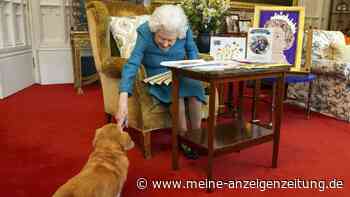 Corgis im Königreich wieder auf dem Vormarsch