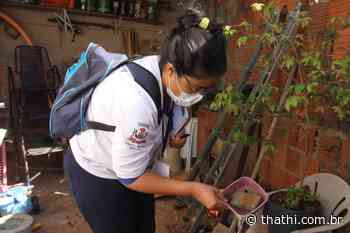 Birigui intensifica as ações de combate ao mosquito transmissor da dengue - Portal Thathi