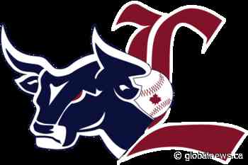 Lethbridge Bulls vs Okotoks Dawgs - GlobalNews Events - Global News