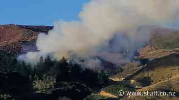Fire contained at slash site near Nelson - Stuff