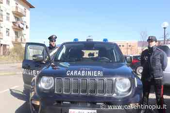 Bibbiena, rubano generi alimentari all'Eurospin: fermati e denunciati | Casentino Più - Casentinopiù