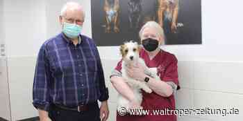 WZ+ Tierarztpraxis Leps in Waltrop: Manchmal müssen Menschen mitbehandelt werden - Waltroper Zeitung