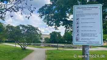 Stadt Cottbus bezeichnet Alkoholverbot als Erfolg - rbb24