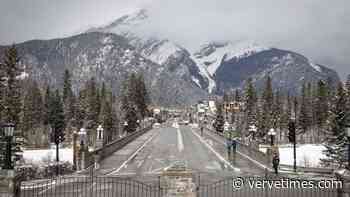 Grizzlies and wolves avoid Banff, Canmore and popular trails - Verve Times