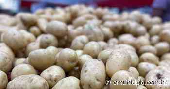 Inflação: preço dos alimentos em Brusque sobe 109% em três anos; veja comparação - O Município