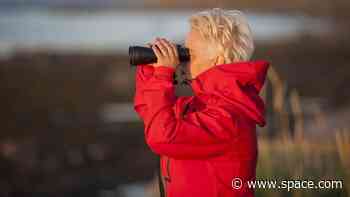 Best binoculars {year}: Top picks for stargazing, wildlife and more