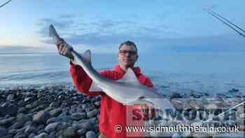 Summer carp taking centre-stage for anglers - Sidmouth Herald