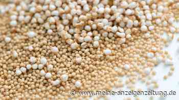 Amarant ist glutenfrei und proteinreich
