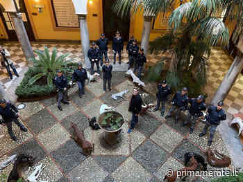 I cani di Velasco Vitali in memoria di Giovanni Falcone - Prima Merate