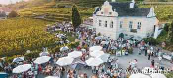 »Music &amp; Wine«: Die Domäne Wachau macht Party