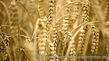 Getreide aus südukrainischem Cherson nach Russland verkauft