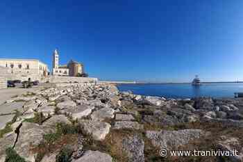 Serenity saluta Trani. Il capitano: «Un approdo meraviglioso nel viaggio della famiglia reale» - TraniViva
