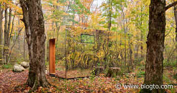 There's a cottage made of mirrors hidden in an Ontario forest - blogTO