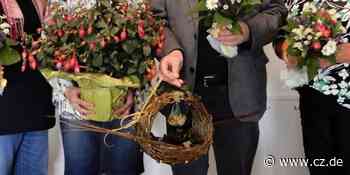 Jahreshauptversammlung des Bildungswerkes im Landkreis Celle - Cellesche Zeitung