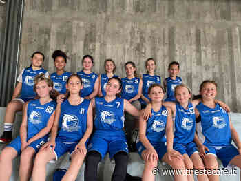 Pallacanestro Interclub Muggia, Esordienti prime al Torneo di Trieste - triestecafe.it