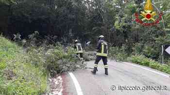 Maltempo, a Trieste la bora fa volare l’installazione in piazza Unità e i new jersey in largo Pestalozzi. Ottanta interventi in tutto il Fvg in 10 ore - Il Piccolo