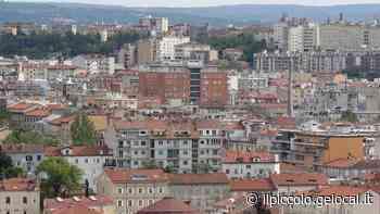 «A Trieste il mercato immobiliare è in ottima salute e la domanda è superiore all'offerta» - Il Piccolo